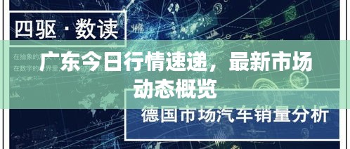 广东今日行情速递，最新市场动态概览