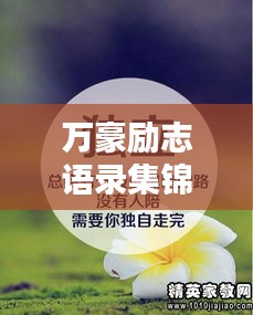 万豪励志语录集锦，激发你无限潜能的励志名言