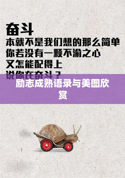 励志成熟语录与美图欣赏