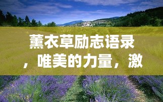 薰衣草励志语录，唯美的力量，激励你的每一天