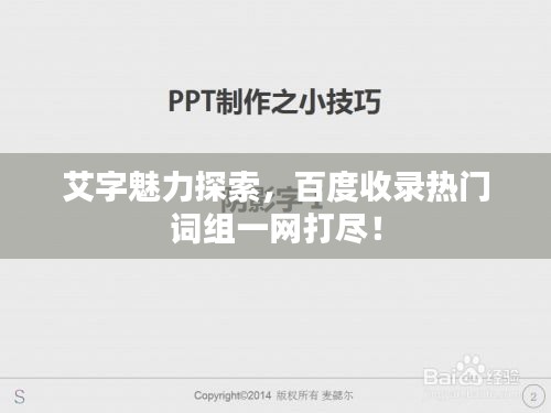 艾字魅力探索，百度收录热门词组一网打尽！