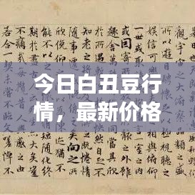 今日白丑豆行情，最新价格与市场动态分析
