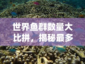 世界鱼群数量大比拼，揭秘最多鱼群的排名！