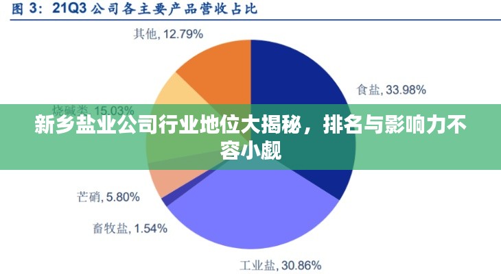 新乡盐业公司行业地位大揭秘，排名与影响力不容小觑
