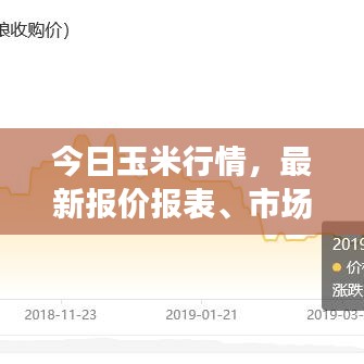 今日玉米行情，最新报价报表、市场分析全解析！