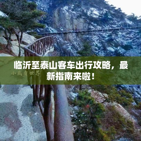 临沂至泰山客车出行攻略，最新指南来啦！