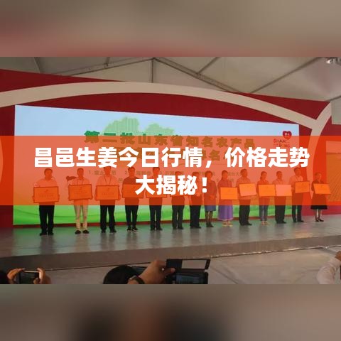 昌邑生姜今日行情，价格走势大揭秘！