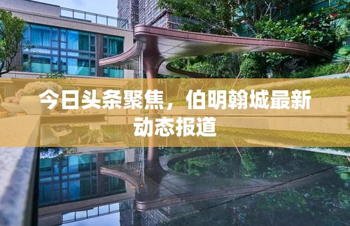 今日头条聚焦，伯明翰城最新动态报道