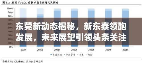 东莞新动态揭秘，新东泰领跑发展，未来展望引领头条关注