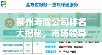 柳州寿险公司排名大揭秘，市场领导者与优质服务商探寻之旅