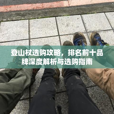登山杖选购攻略，排名前十品牌深度解析与选购指南
