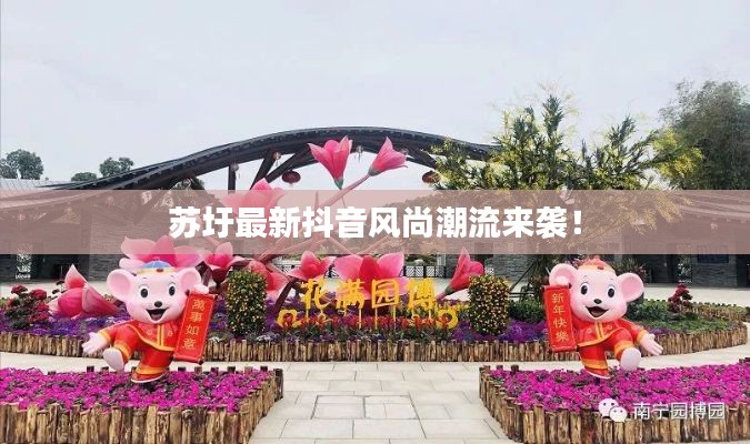 苏圩最新抖音风尚潮流来袭！