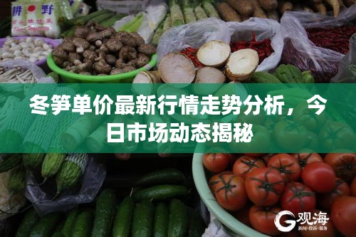 冬笋单价最新行情走势分析，今日市场动态揭秘
