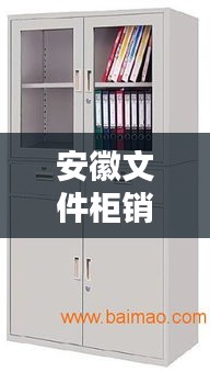 安徽文件柜销售公司排行榜，权威排名榜单揭晓！