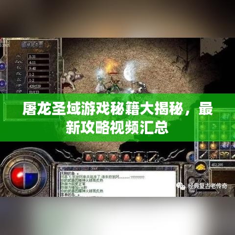 屠龙圣域游戏秘籍大揭秘，最新攻略视频汇总