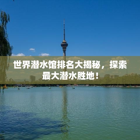 世界潜水馆排名大揭秘，探索最大潜水胜地！