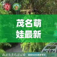 茂名萌娃最新动态更新！