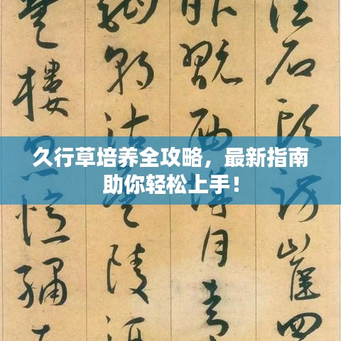 久行草培养全攻略，最新指南助你轻松上手！