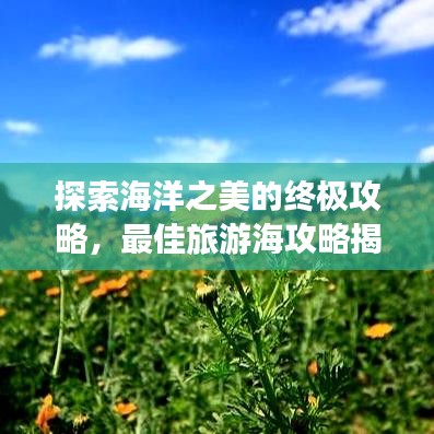探索海洋之美的终极攻略，最佳旅游海攻略揭秘！