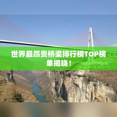 2025年6月 第81页