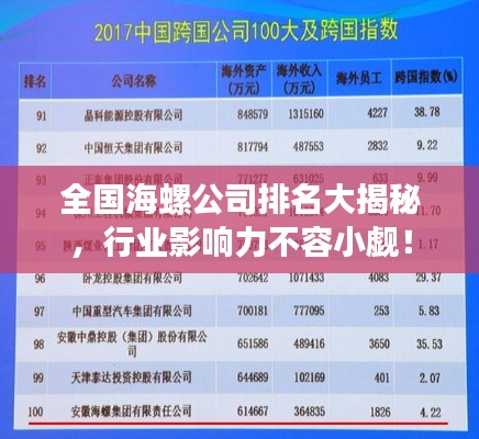 全国海螺公司排名大揭秘，行业影响力不容小觑！
