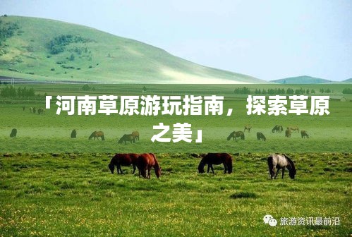 「河南草原游玩指南，探索草原之美」