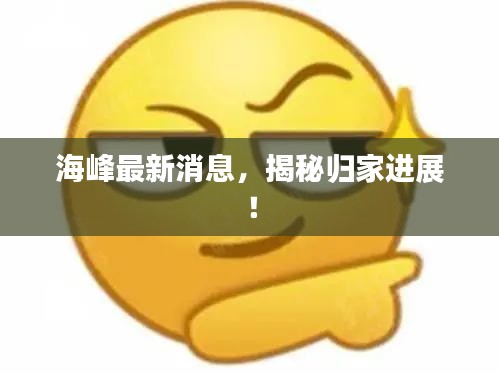 海峰最新消息，揭秘归家进展！