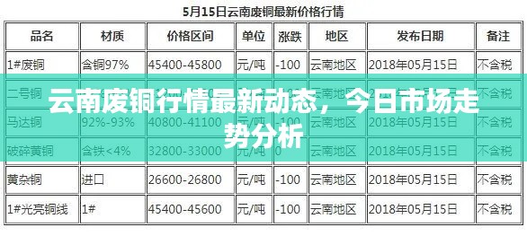 2025年6月 第73页