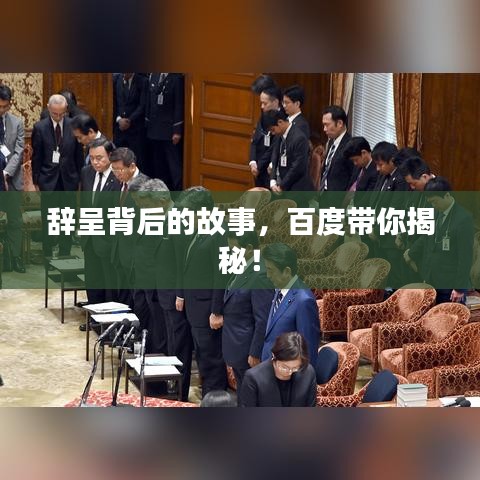 2025年6月 第68页
