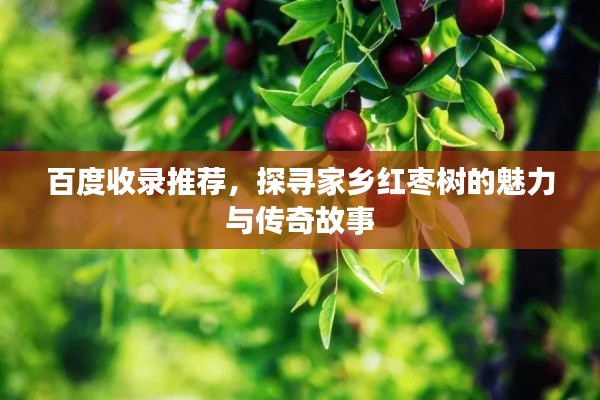 2025年6月 第67页