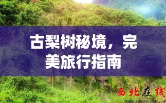 古梨树秘境，完美旅行指南