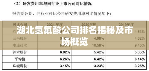 湖北氢氟酸公司排名揭秘及市场概览