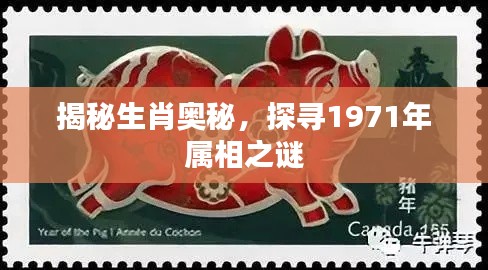 揭秘生肖奥秘，探寻1971年属相之谜