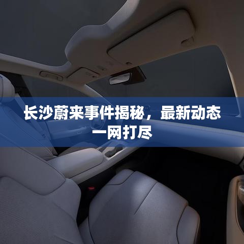 长沙蔚来事件揭秘，最新动态一网打尽