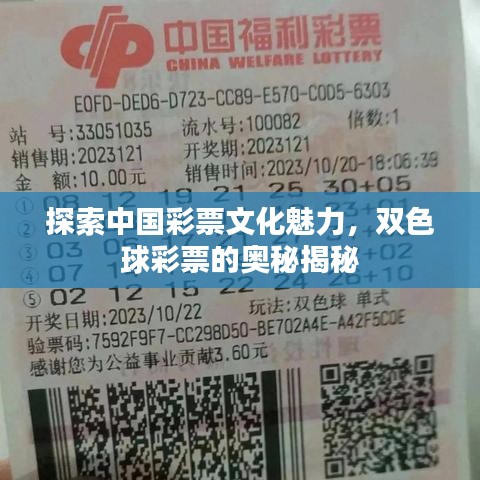 探索中国彩票文化魅力，双色球彩票的奥秘揭秘