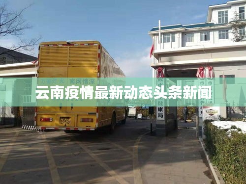 云南疫情最新动态头条新闻