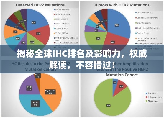 揭秘全球IHC排名及影响力，权威解读，不容错过！
