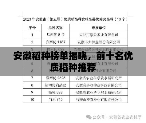 2025年6月 第24页
