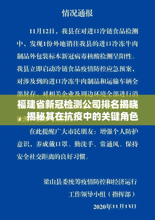 福建省新冠检测公司排名揭晓，揭秘其在抗疫中的关键角色