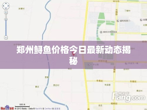 郑州鲟鱼价格今日最新动态揭秘
