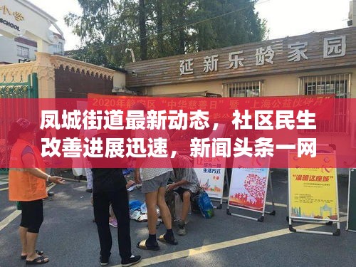 凤城街道最新动态，社区民生改善进展迅速，新闻头条一网打尽