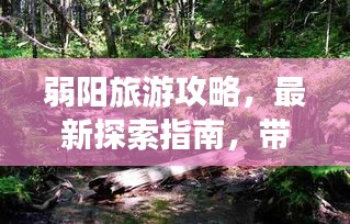 弱阳旅游攻略，最新探索指南，带你玩转这片神秘之地！