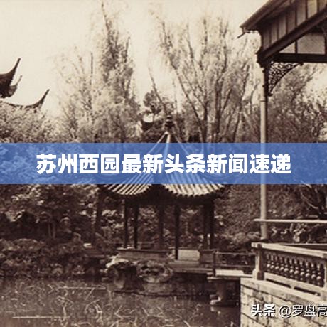 2025年6月16日 第2页