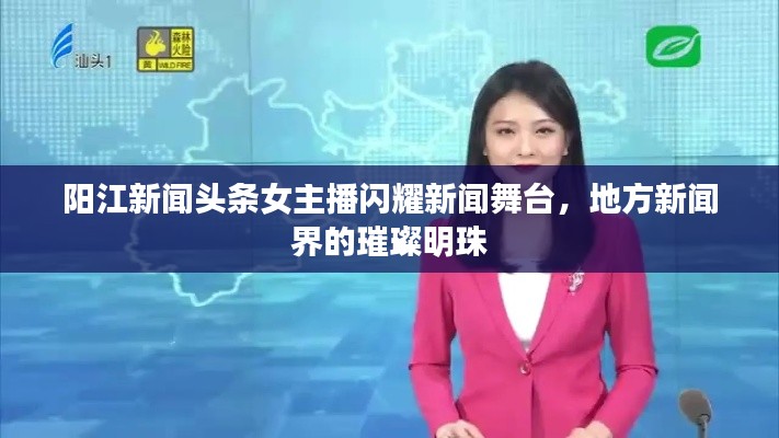 阳江新闻头条女主播闪耀新闻舞台，地方新闻界的璀璨明珠
