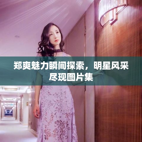 郑爽魅力瞬间探索，明星风采尽现图片集