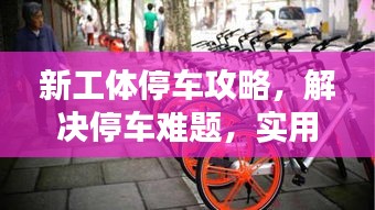 新工体停车攻略，解决停车难题，实用指南视频分享