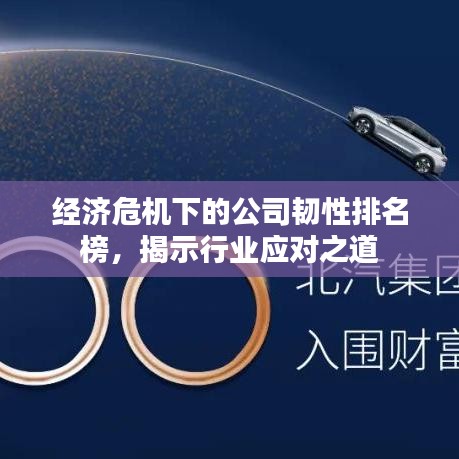 经济危机下的公司韧性排名榜，揭示行业应对之道