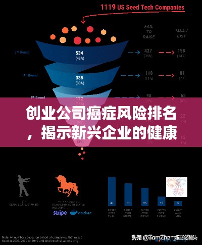 创业公司癌症风险排名，揭示新兴企业的健康挑战与风险预警