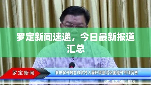罗定新闻速递，今日最新报道汇总