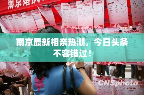 南京最新相亲热潮，今日头条不容错过！